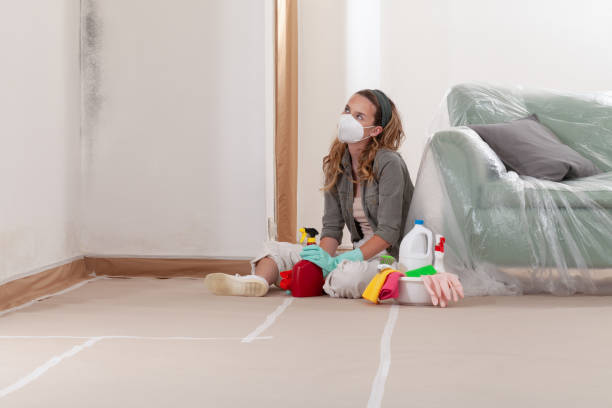 Reliable Commercial Mold Remediation contractor in Loretto, TN by WQB Mold Removal