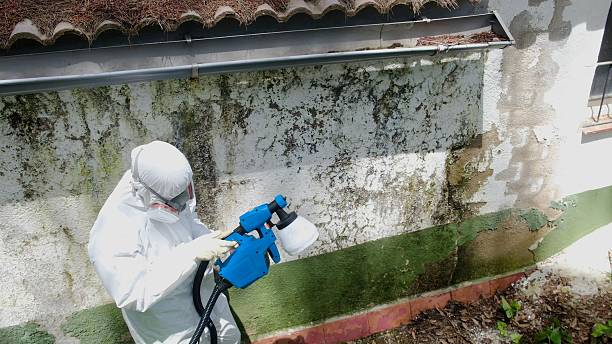 Top rated local Commercial Mold Remediation specialists in Loretto, TN